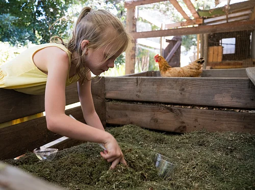 Composting Series: Recycling Holiday Scraps