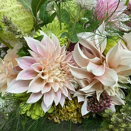Dahlia Dreams Flower Workshop