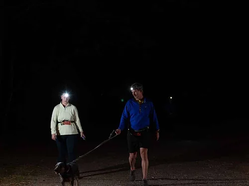 Guided Night Hike
