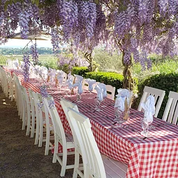 New Orleans Under the Wisteria Dinner