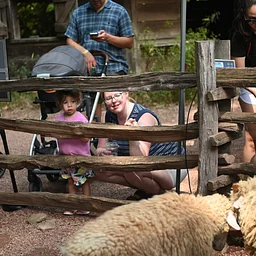 Greet the Sheep and Goats