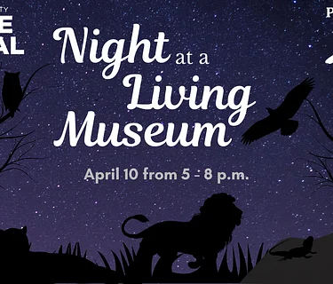 Night at a Living Museum