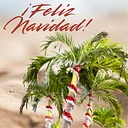 Noche Buena Cubana