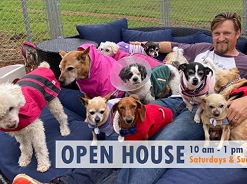 Frosted Faces Foundation Open House