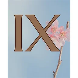 Message Session IX