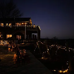 Lighting of the Vines Holiday Lights