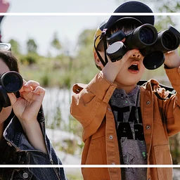 Open Birding
