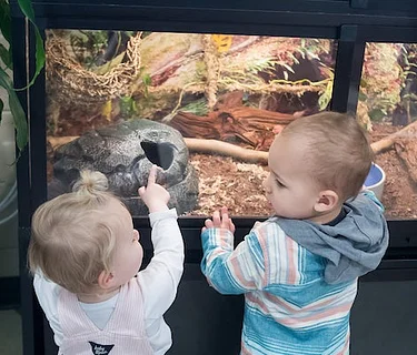 Animal Encounters: Herp awakening