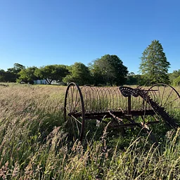 Week 3: Rust, Rope, and Iron: Sketching Cape Cod’s Working Heritage