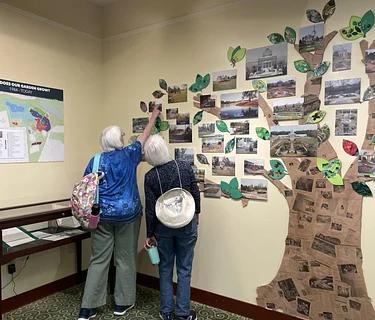 How does our Garden grow: 1984 – today