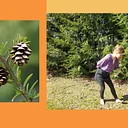 Forest Bathing & Tai Chi with Mary Hannah Parkman
