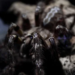 Science Saturday: Spooky Science
