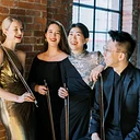 Terra String Quartet
