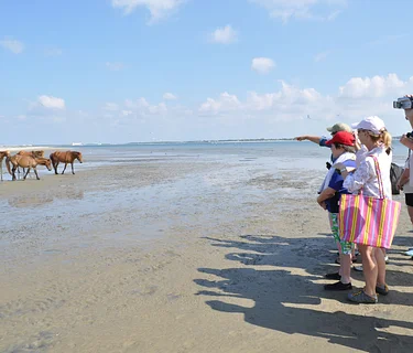 Hiking and History on Shackleford Banks