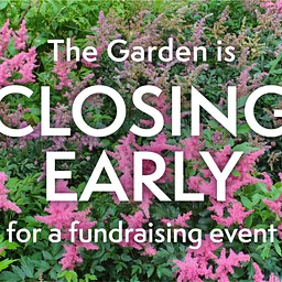 Closing early at 4:00pm