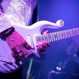CHASE & OVATION: A SALUTE TO THE MUSIC OF PRINCE