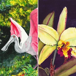 CAPTURING THE BEAUTY OF NATURE IN WATERCOLOR