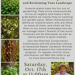 Invasive Plants