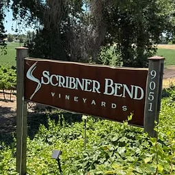 Scribner Bend Vineyards
