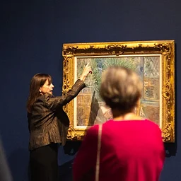 Discover the MFA: Member Experience