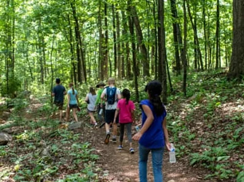 Outdoor Exploration Camp