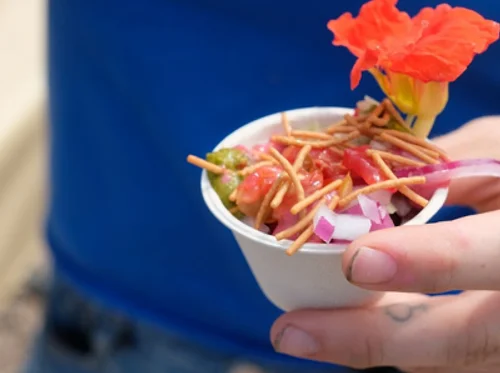 Taste of the Farm