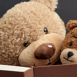 Book Cubs