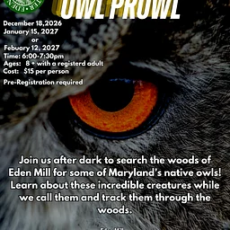 Owl Prowl December 18, 2026