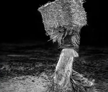 43rd Annual Wallowa Valley Arts Festival Opening Reception Tickets