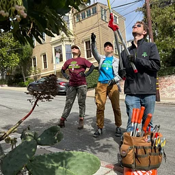 Apex Family Law Group Community Tree Care