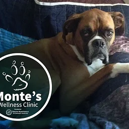Monte’s Wellness Clinic
