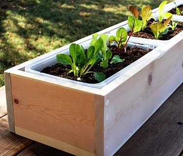 Let’s Get Growing – Dig, Plant, Explore