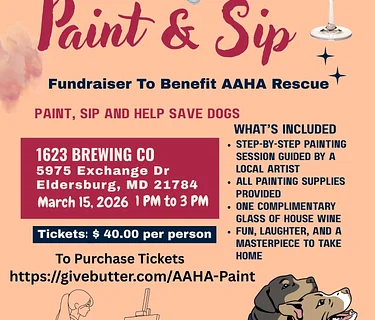 AAHA Paint & Sip