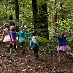 Guided Fairy Walk