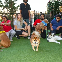 Newport Pupsgiving