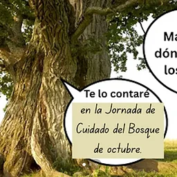 Jornada de Cuidado del Vivero/ Nursery Care Day – October 3