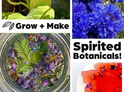 Grow + Make: Spirited Botanicals!