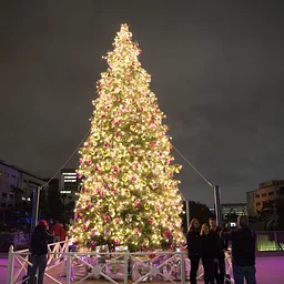25th Annual Tree Lighting Concert & Ceremony at Citadel Outlets