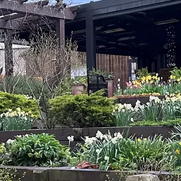 Tiles & Tastings with Mahj in Bloom - October