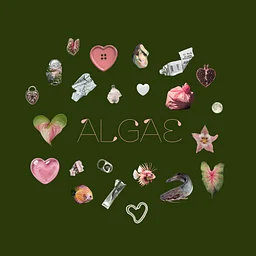 Madeline Elaine / Lizzie Esses - ALGAE