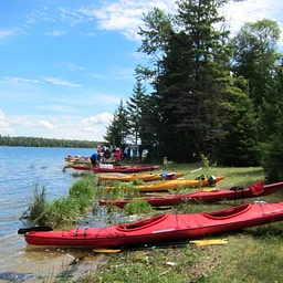 Paddle the Same Waters as Aldo Leopold with Woods & Waters in Cedarville Les Cheneaux Islands Area
