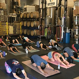 Yoga – Professional Instructor Beth Wolfe
