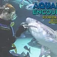 Florida Keys Aquarium Encounters