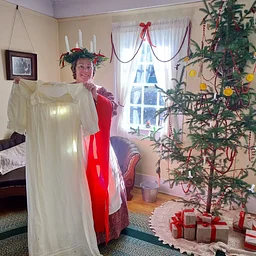 Home for the Holidays: Themed Field Trip