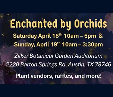 Enchanted by Orchids: HOTOS Plant Sale (Day 2)