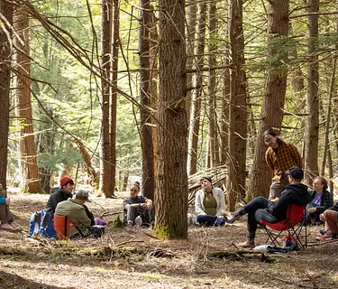 Forest Bathing in the Lilacs