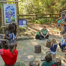 Discovery Drop-In & Storytime