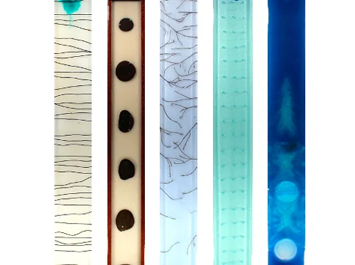 Scott Gibson - Visual Symphony II