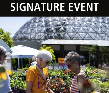 Spring Garden Market Saturday