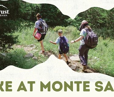 Hump Day Hike at Monte Sano (Three Caves Trailhead)
